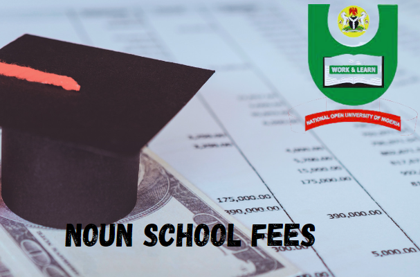 noun school fees