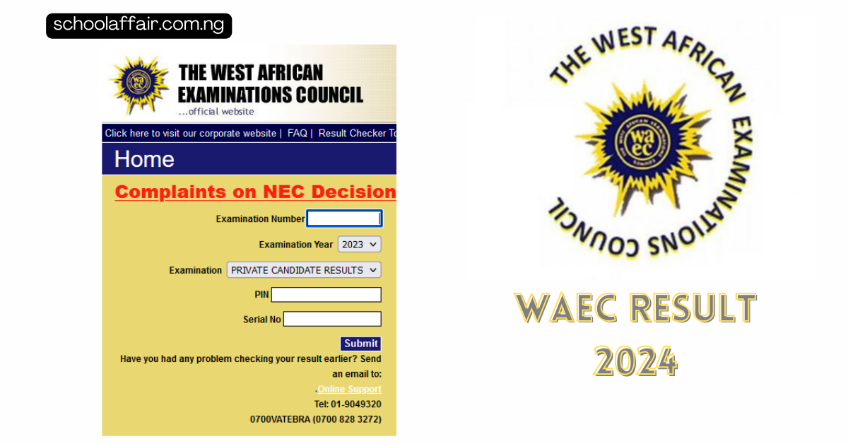 WAEC Result 2024 All the Stats, Facts, and Data You'll Ever Need to