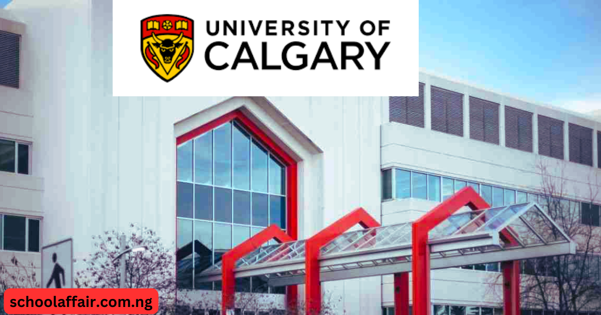 University of Calgary International Entrance Scholarship – What You Need Know