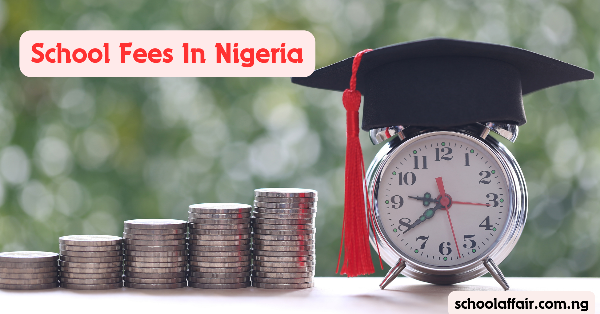 Parents Speak Out: Challenges of Affording School Fees In Nigeria