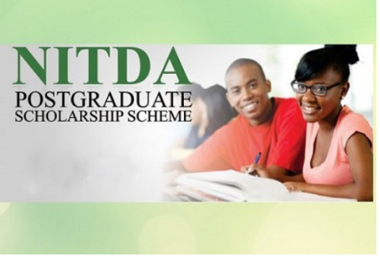 NITDA and Founder Institute Launch Tech Startup Acceleration Fellowship 2024